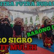 Ebeg Citra Putra Budaya Pamit Muleh Barong Devil Ebeg Banjarnegara 27 11 2022
