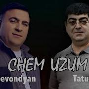 Tatul Avoyan Spitakci Hovo Chem Uzum