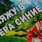 Гляжу В Озера Синие Под Баян Поет Вячеслав Абросимов