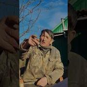 Песни Про Канаплю И Марихуану