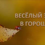 Разноцветная Песенка