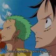 One Piece He Is Our Captain Amv