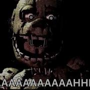 Spring Bonnie Sound