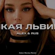 Alex Rus Дикая Львица Remix Version Adam Maniac