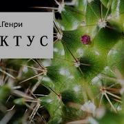 О Генри Кактус Слушать Аудиокнигу Онлайн