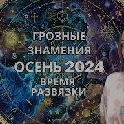 2024 Осень