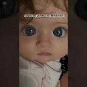 Хуяк Хуяк Ещё Хомяк