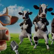 Cow Song