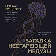 Загадка Нестареющей Медузы Секреты Природы И Достижения Науки Которые Помогут Приблизиться К Вечной Жизни