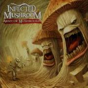 Infected Mushroom Never Mind