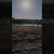 Я Из Города Уехал