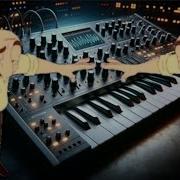 Шахов Шухов 2025