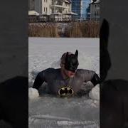 Одидание Реальность Смех Тик Ток