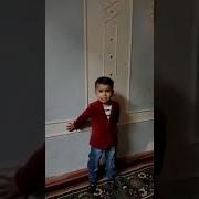 Фарзанд Меваи Умри Инсон
