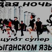 Белые Розы Поют Цыгане
