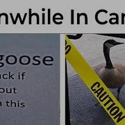 This Is Canada Meme