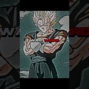 We Are Warrior Born Of The Potara
