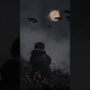 Минуси Зики Мехроб