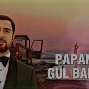 Gul Balasi 2022