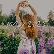 Indie Pop Folk Compilation January 2023 2 Hour Playlist