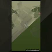 За Тобой Не Успеваю