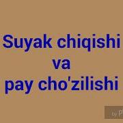 Pay Cho Zilganda Nima Qilish Kerak Hd