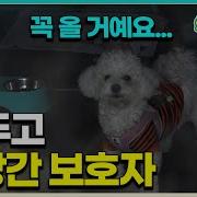 지금 것인 전화는