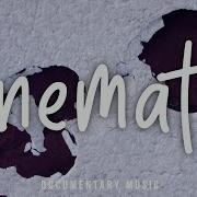 Documentary By 2Bstudio Preview