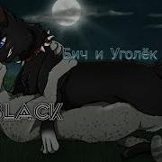 Коты Воители Бич И Уголёк Black