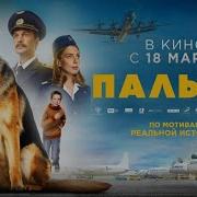 Музыка Про Собаку Пальму
