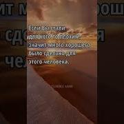 Мудрые Высказывания О Жизни