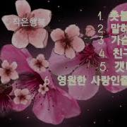 양하영 노래모음