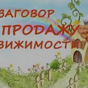 Заговор На Продажу Игорь Попович