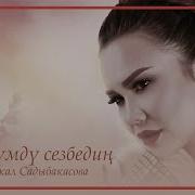 Сайкал Садыбакасова Суйуумду Сезбедин