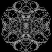 Pfirter Iteration Oscar Mulero Remix