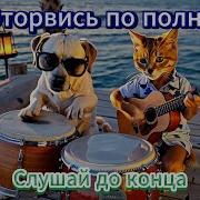 Треки С Душой Vol 1 Русские Песни 2025 Сборник Новых Песен