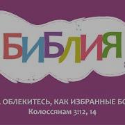Тимофеева Библиотекарь Минус
