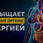 Видео Наполняет Ваши Органы И Восстанавливает Их Здоровье Энергией Исцеление Звуком