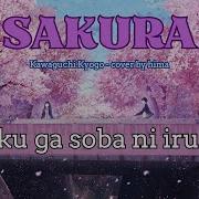 Sakura Boku