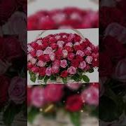Василина С Днем Рождения
