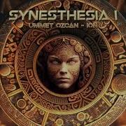 Ummet Ozcan Ion Synesthesia I Ep