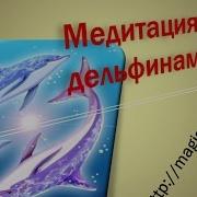 Медитация С Дильфинами Дельта