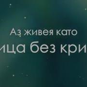 Бтр Елмаз И Стъкло Текст
