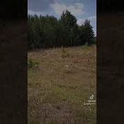 Павел Фрайнт А Я Знаю Что Ты Мне Понравишься