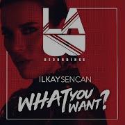 What You Want Ilkay Sencan