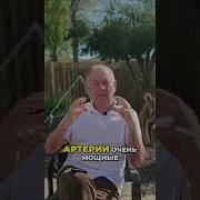 Дыхание Жизни Инфаркт