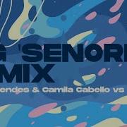 Shawn Mendes Camila Cabello Senorita Joey Doc Remix