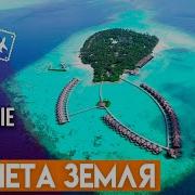 С Высоты Птичьего Полёта