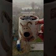 Начальник Доброе Утро