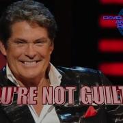 David Hasselhoff You Re Not Guilty